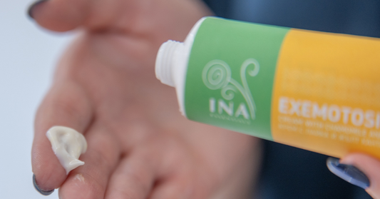 Crema lenitiva per eczema alle mani - InaEssentials