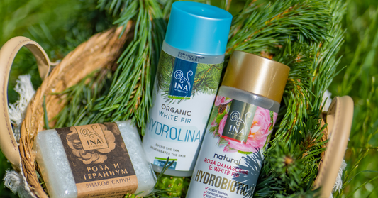 Soluzione naturale per le macchie da iperpigmentazione con RoutINA di InaEssentials