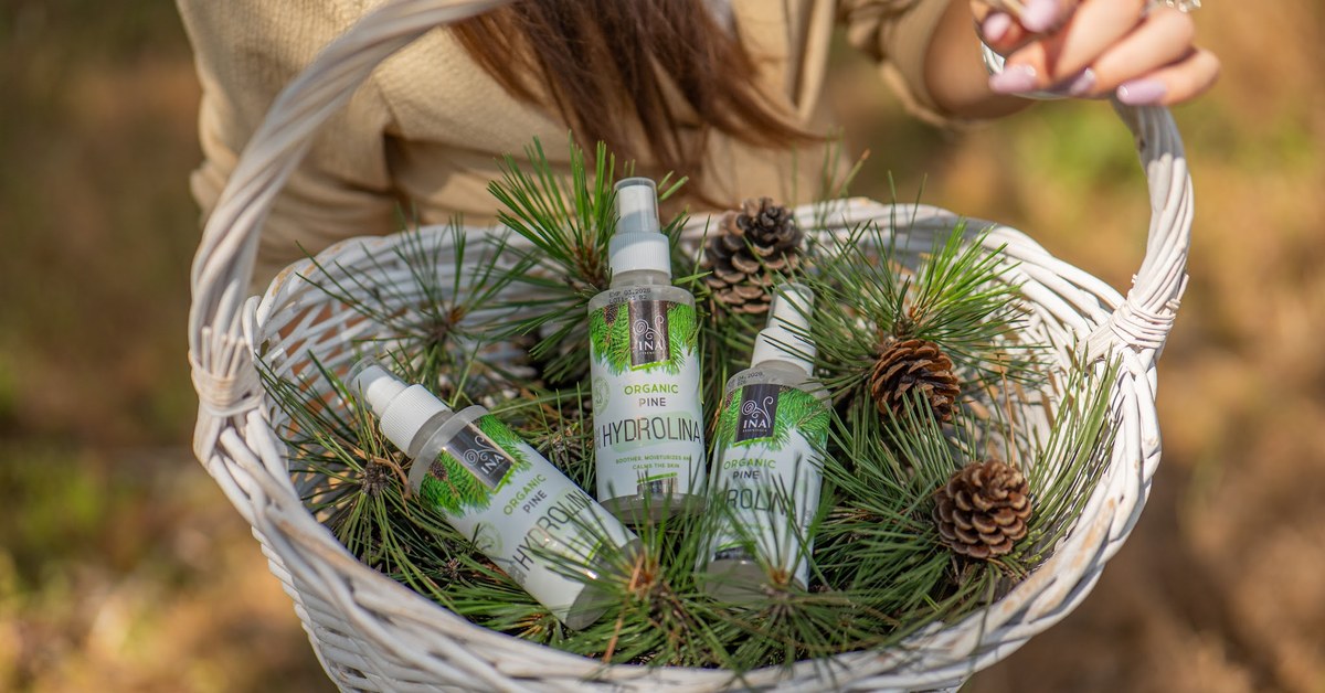 Aghi di pino silvestre Pinus sylvestris e Acqua di Pino Bianco Bio Hydrolina