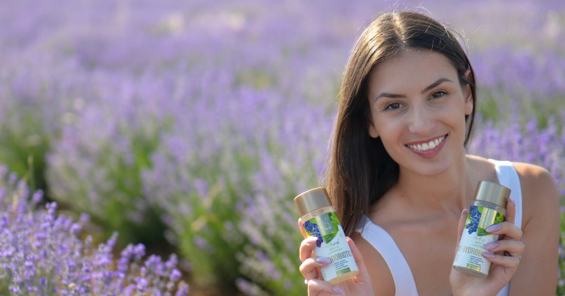 Lavanda Lavandula angustifolia e Hydrobiotic Lavanda e Menta nel campo di lavanda