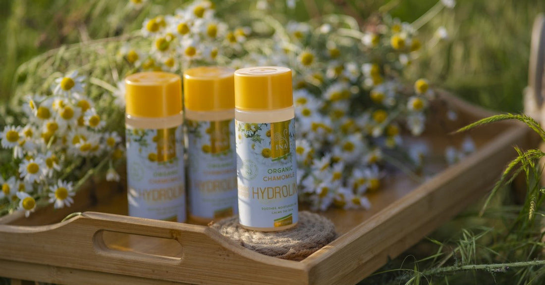 Camomilla Matricaria chamomilla e Acqua alla Camomilla Bio Hydrolina