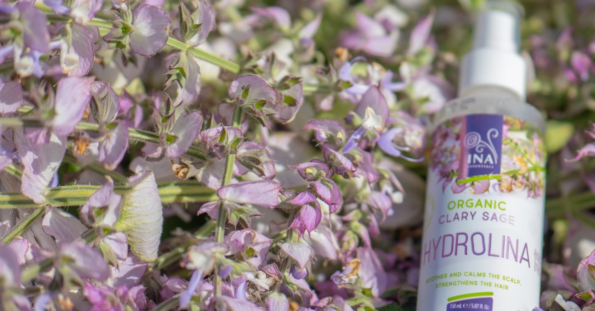Salvia sclarea Salvia sclarea e Acqua alla Salvia Bio Hydrolina