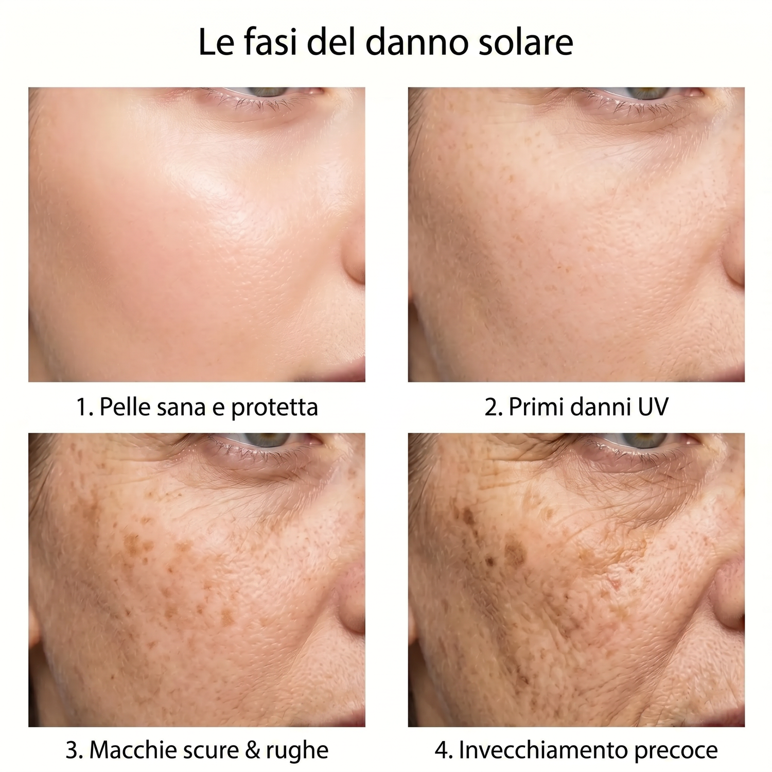 spf IT infographic